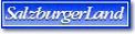 Homepage Salzburger Land